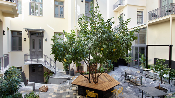 A lemon tree growing at the center of the courtyard at in[n]Athens hotel.