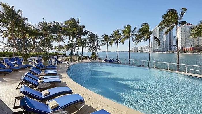 The pool area at the Mandarin Oriental Hotel in Miami, Florida. There's a very nice view of the water just past a row of palm trees.
