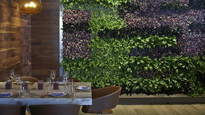 A restaurant inside the Mandarin Oriental Hotel in Miami, Florida. One of the room's walls is covered entirely in green and purple plant life.
