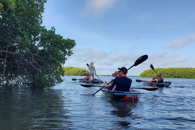 Clear Kayak Tour of Shell Key Preserve